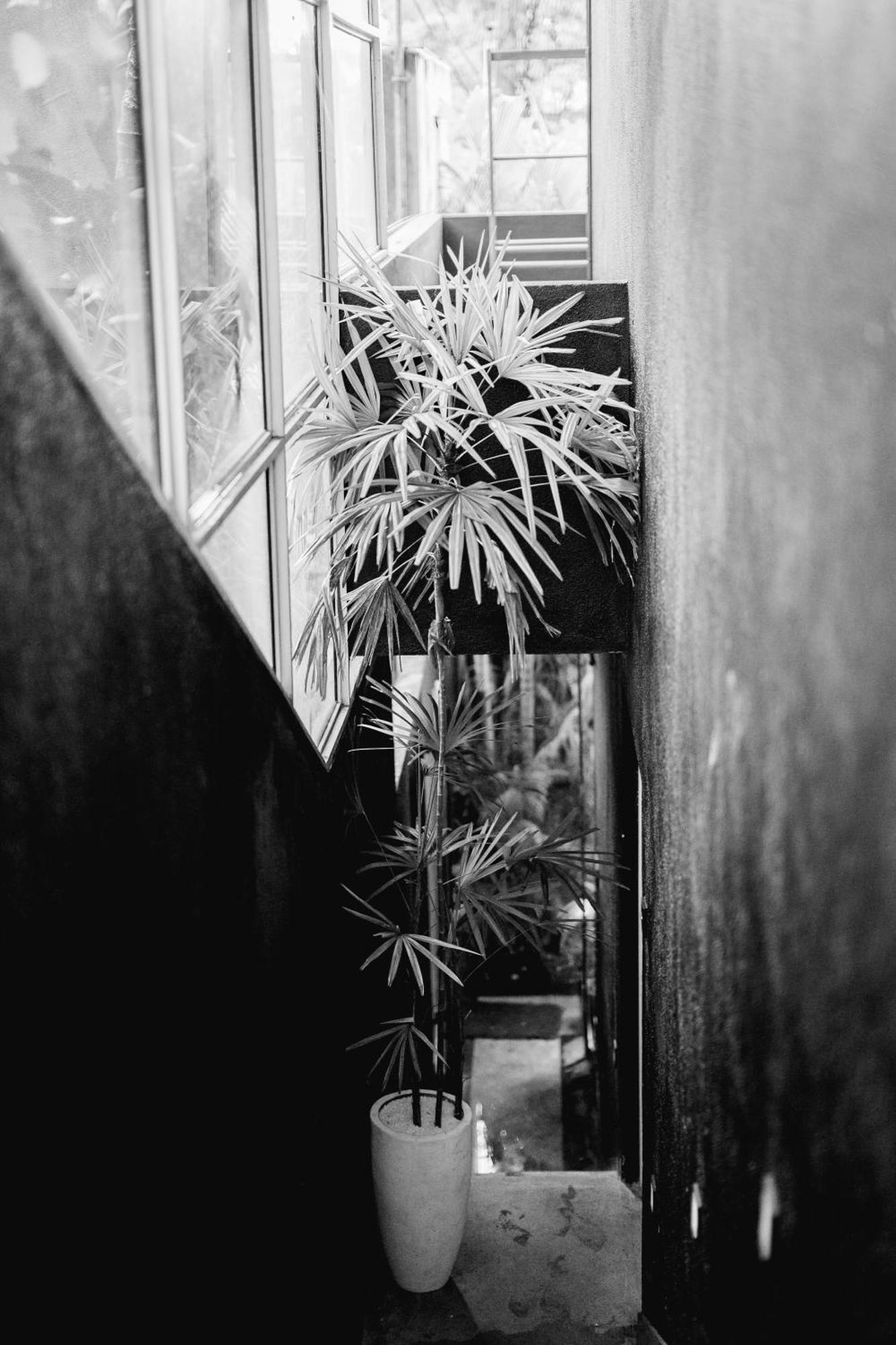 Sugar Hostel Weligama - Coliving & Coworking Eksteriør billede