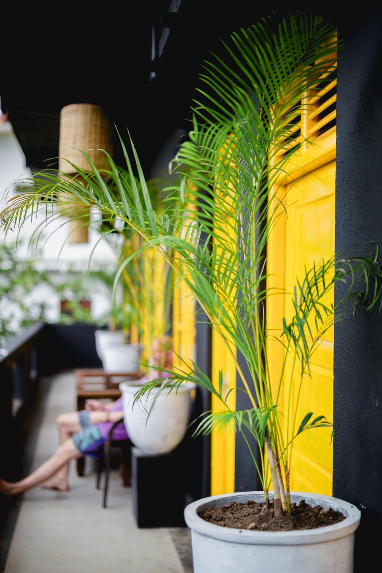 Sugar Hostel Weligama - Coliving & Coworking Eksteriør billede