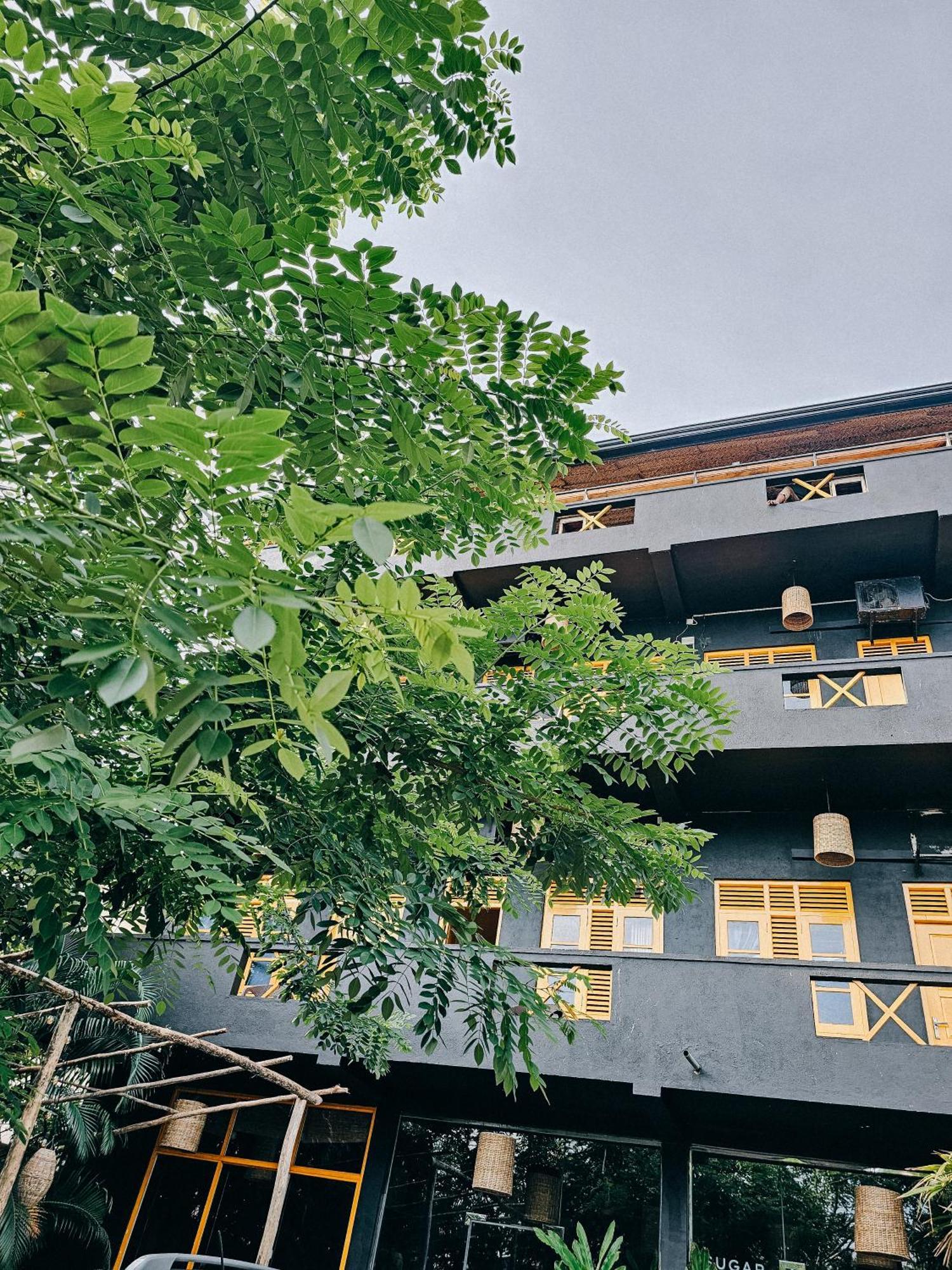 Sugar Hostel Weligama - Coliving & Coworking Eksteriør billede
